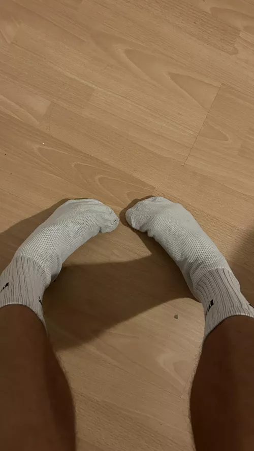 [20]Sniff or lick them?