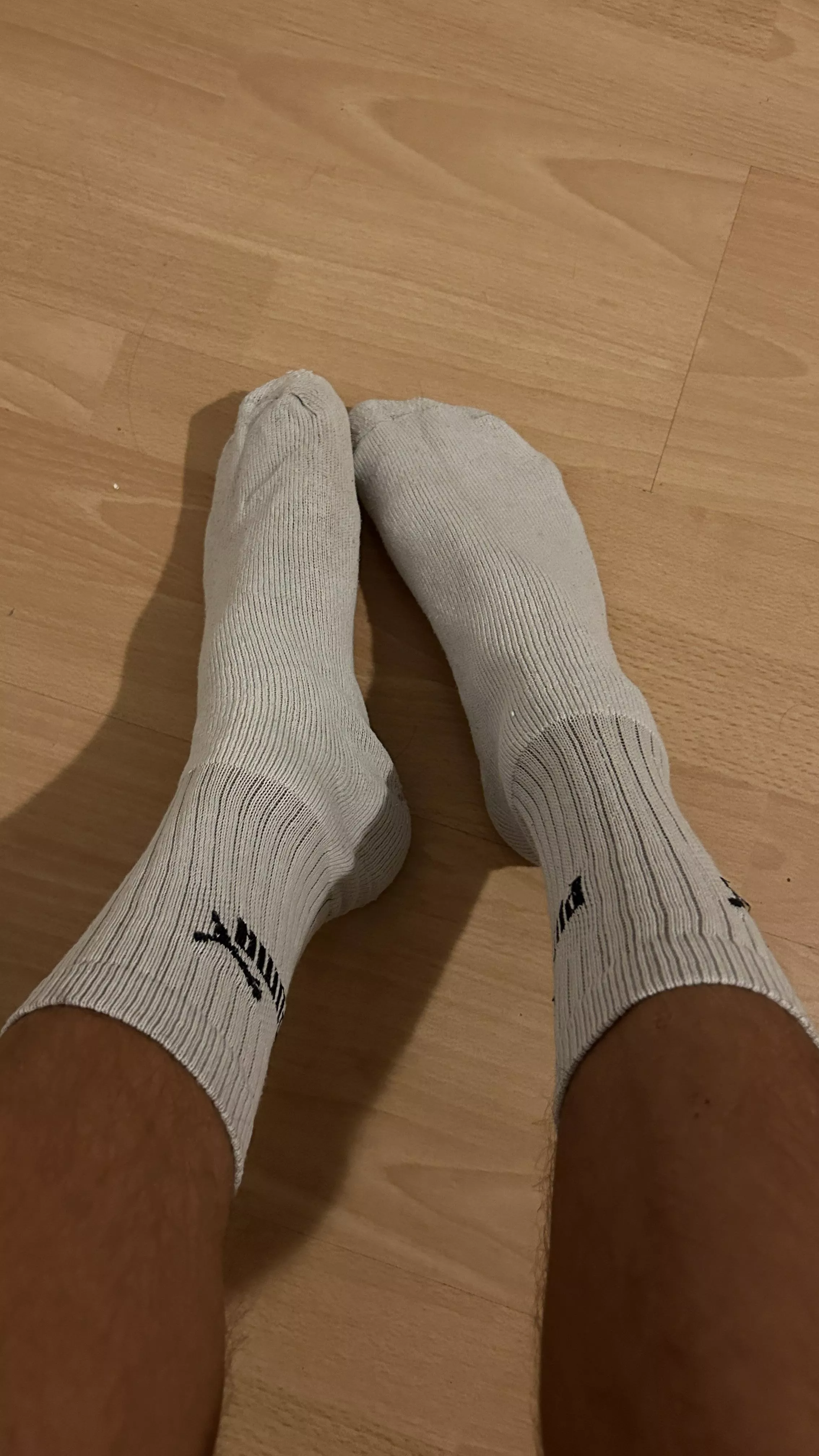 [20]Wanna sniff them?