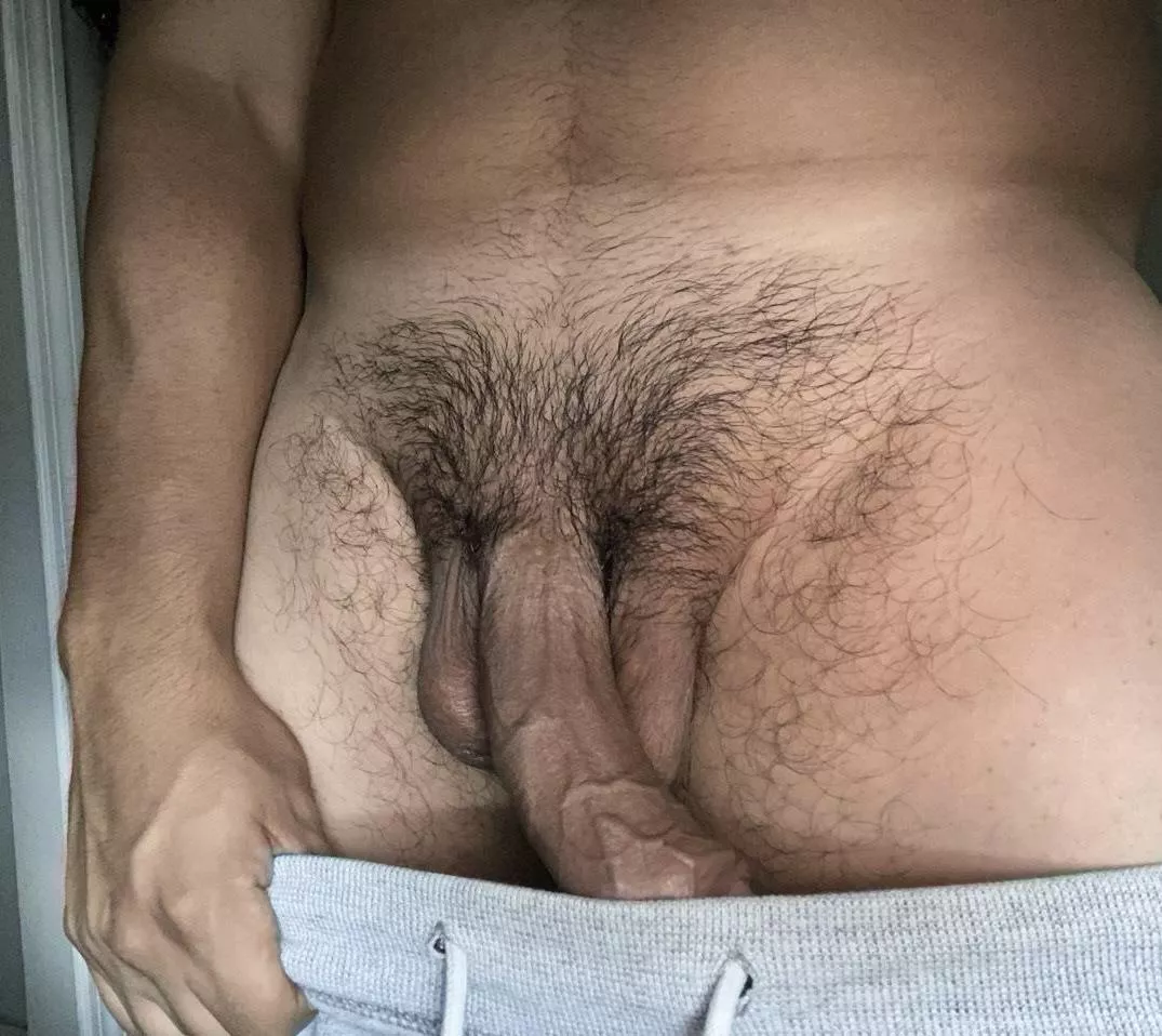 23 [M4F] Tampa, looking to munch on pussy and fuck. I’m able to host if needed 