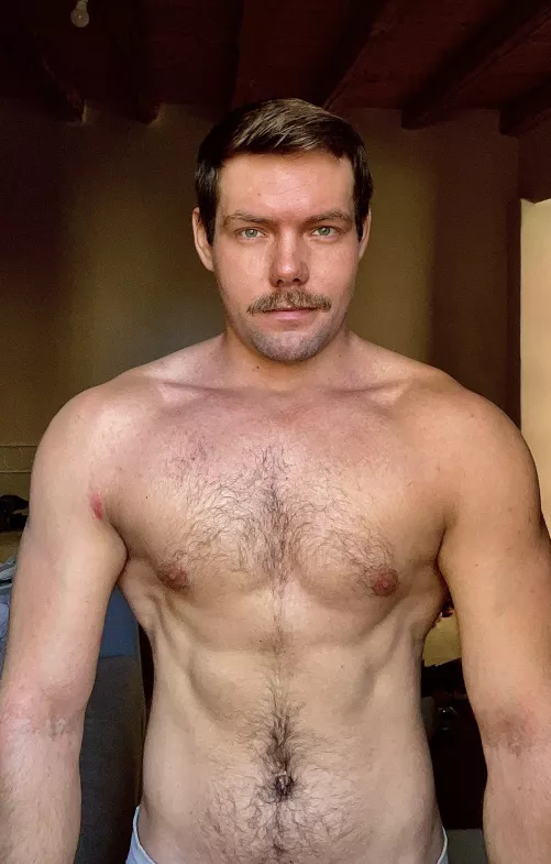 [26] Peak bulk, way leaner this time round. Any muscle bros wanna encourage each other?