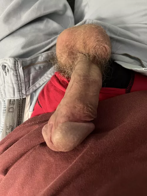 [65] Time for your Sunday worshiping 