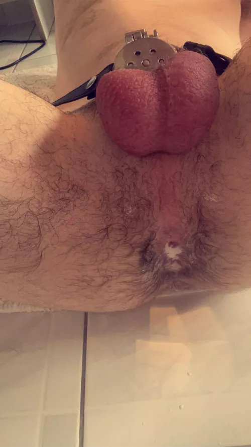 A very creamy beta pussy