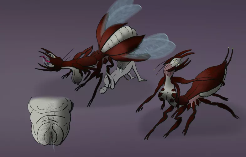 Aerial Warrior [FM] (art by me)