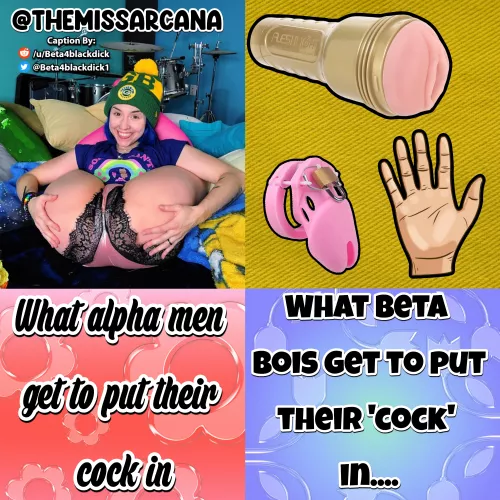 ALPHA vs beta 'pussy'
