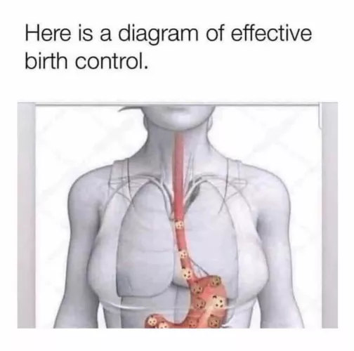 An educational diagram…