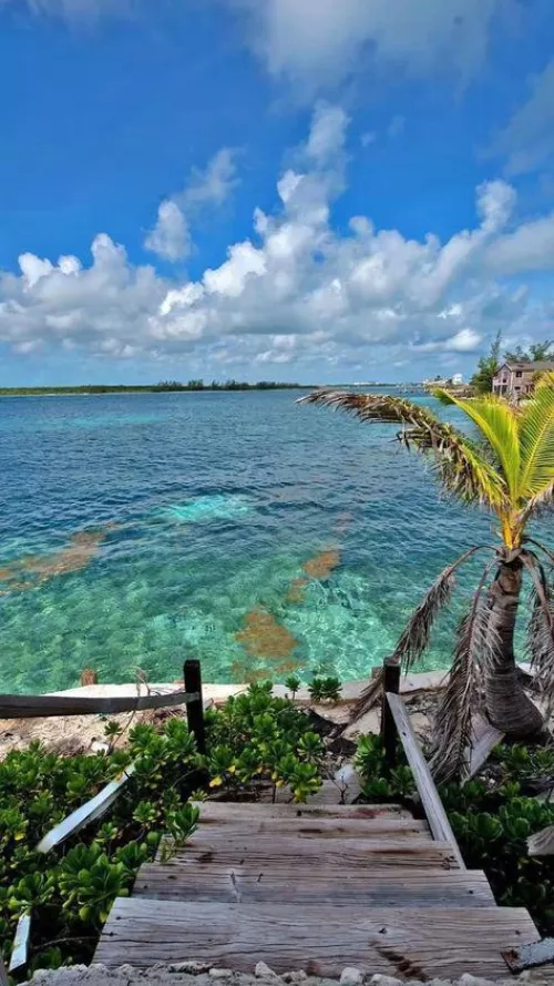 Bahamas beach