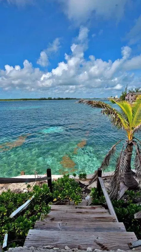 Bahamas beach