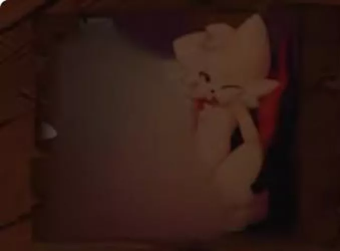 can someone help me find ze sauce