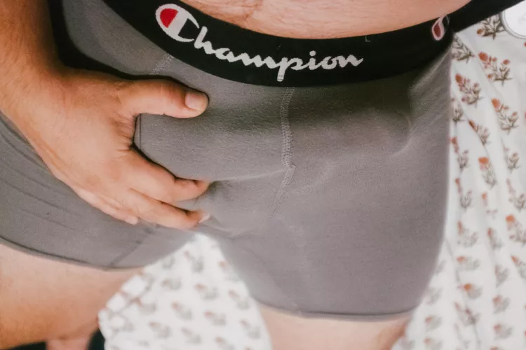 Champion snug fit [33]