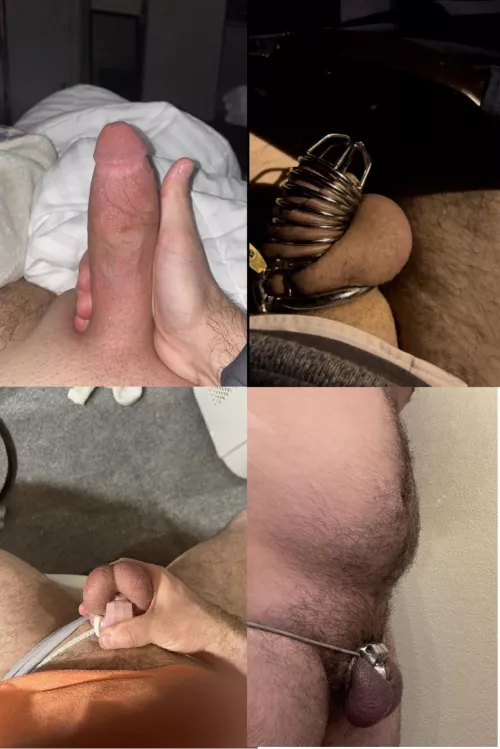 Chastity progress pic