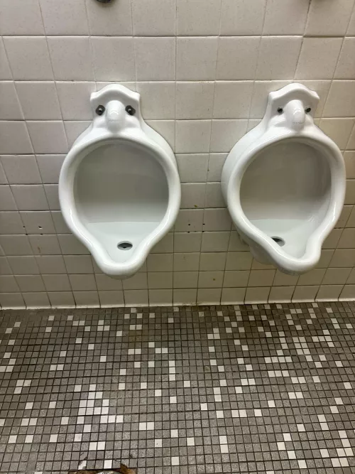 Chickened out when I could’ve used the other one 