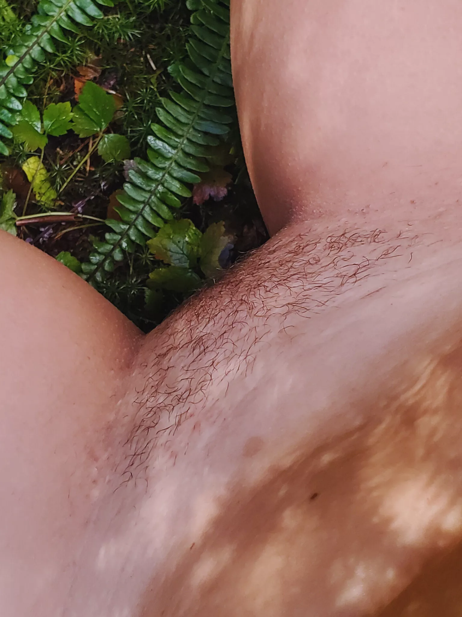 Come visit my FernGully