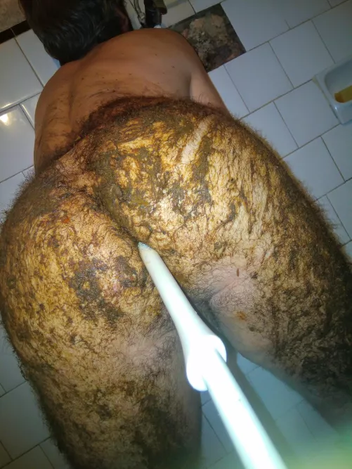 Covered in shit playing with my fat hairy ass