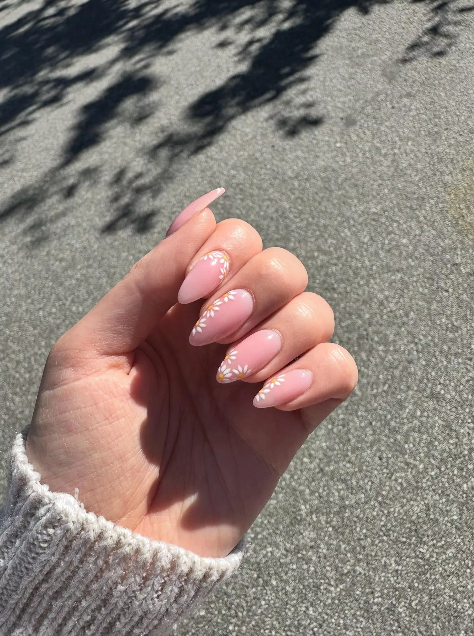 Daisies for Daisy 😇 think I should do a set like this again? 