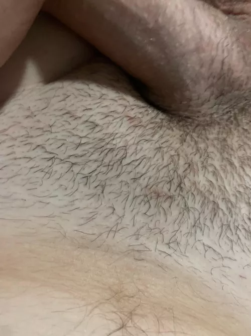 Dm free today 19 fit tradie