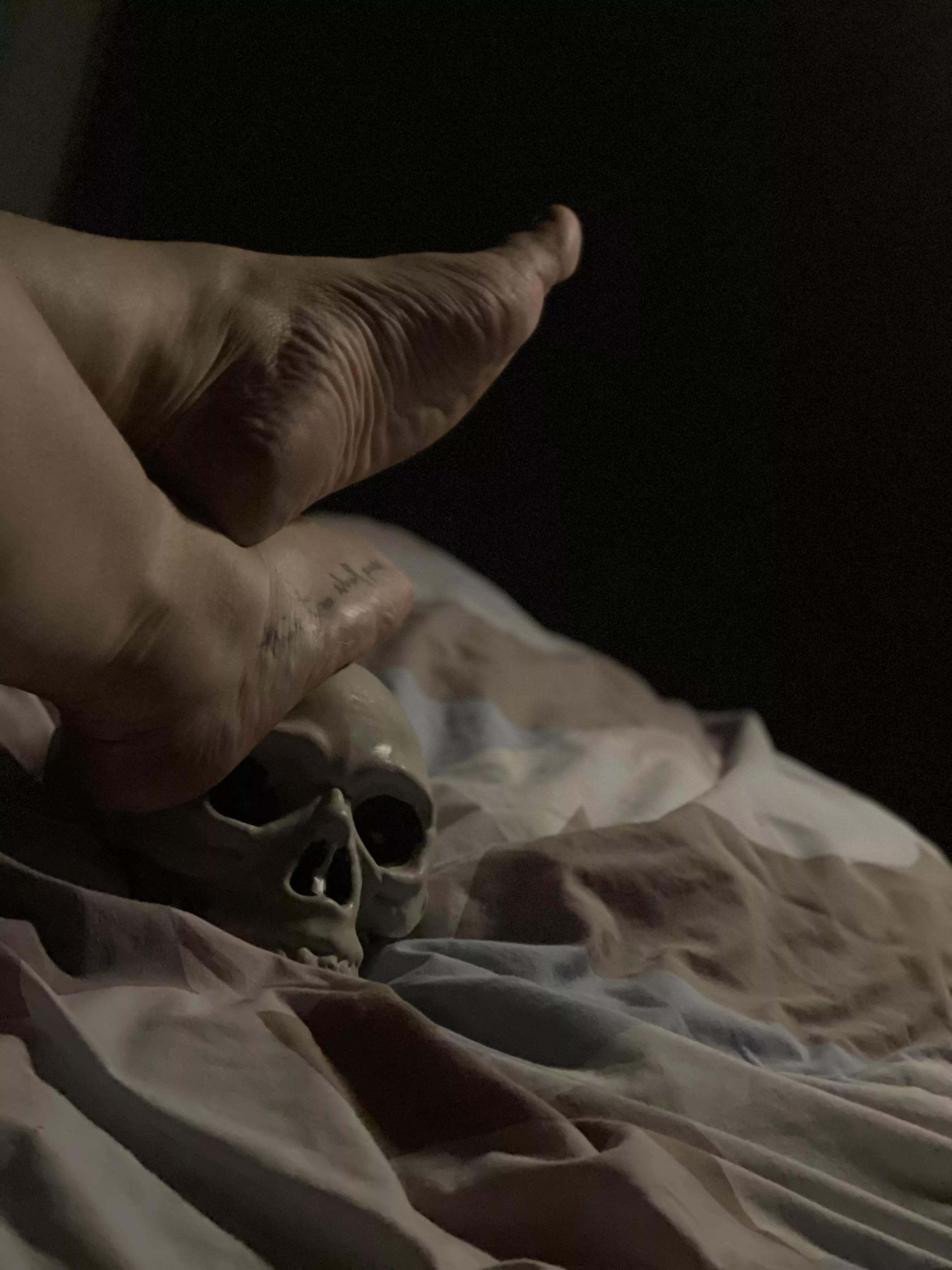 Don’t ask to be my human footstool if this isn’t the level of dedication you’re willing to show. 