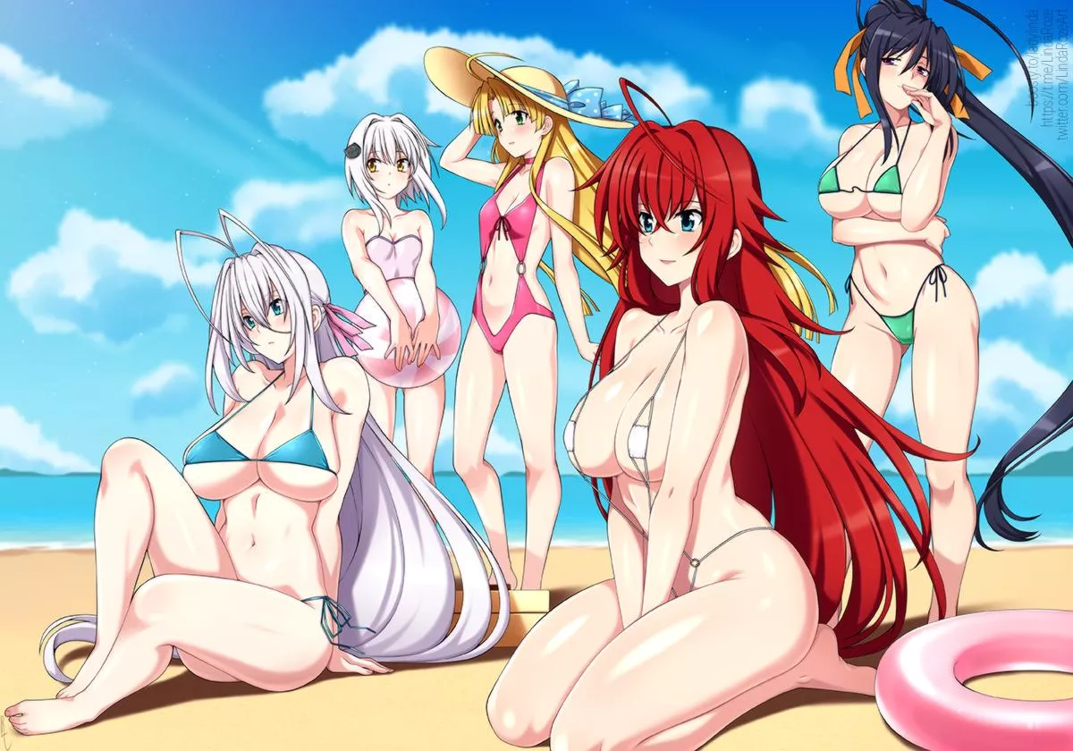 DxD Beach Party
