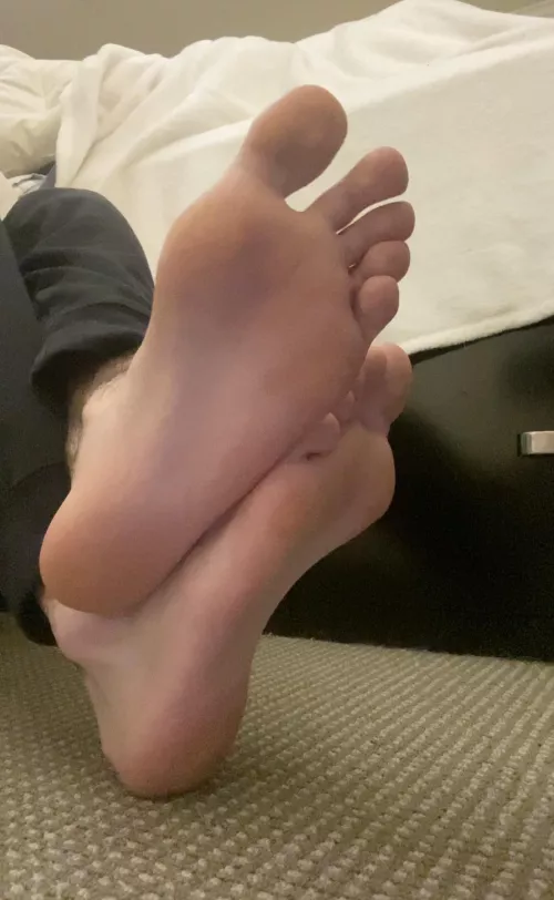 First post, would you want to see more?