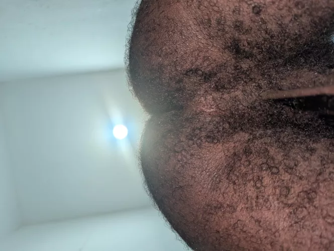 Follow the North Star