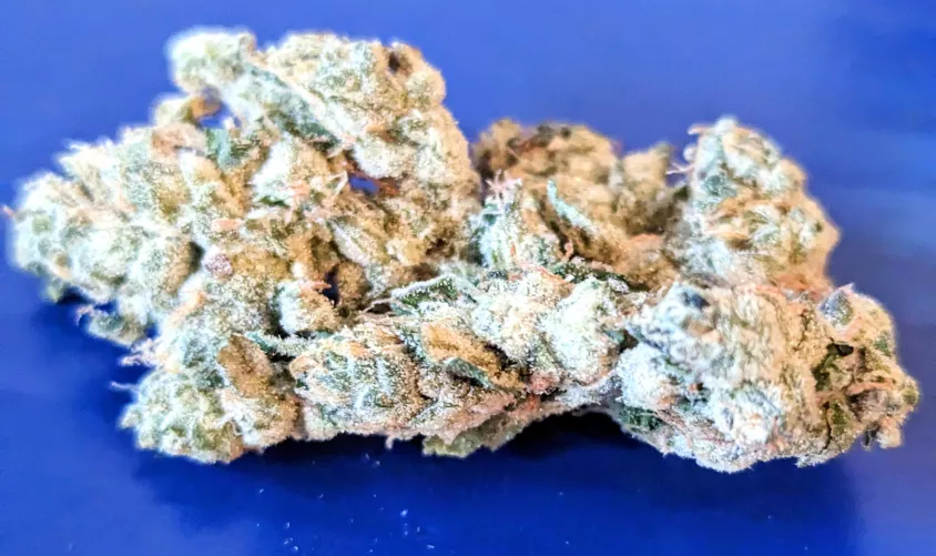 Garlic - yup that's it