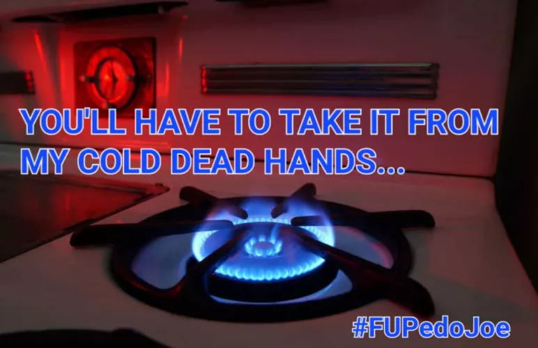 gas stove ban my ass...