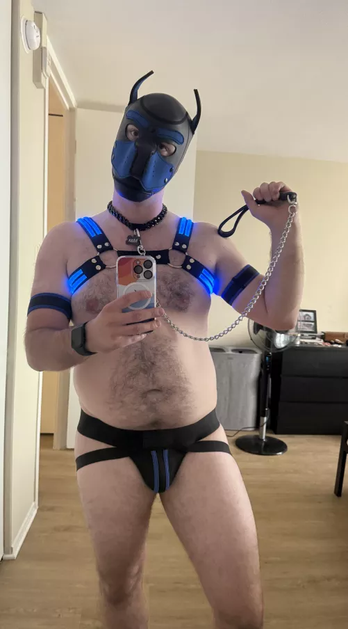 Getting ready for a big night out tomorrow 🐶🐾