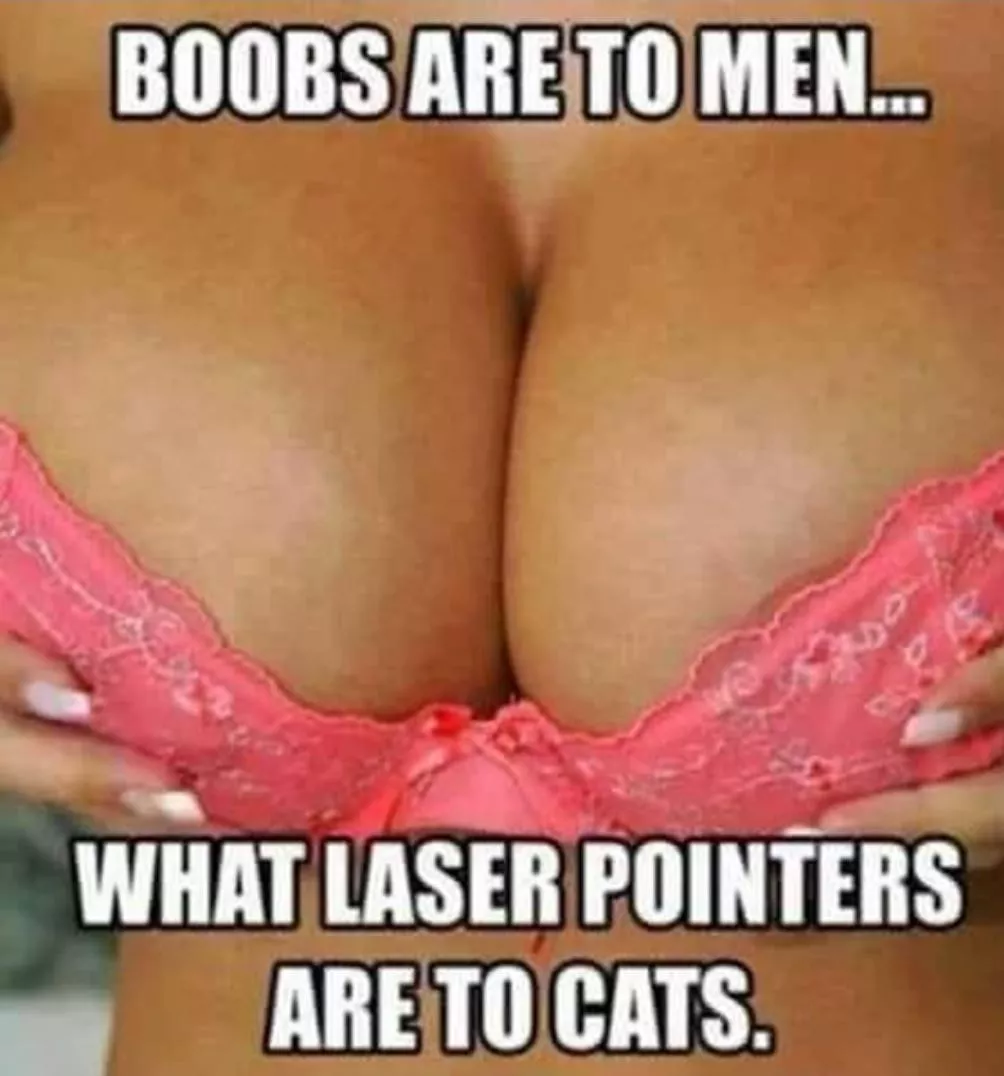 Guys can't stop 👀 at the girls 🤷‍♀️