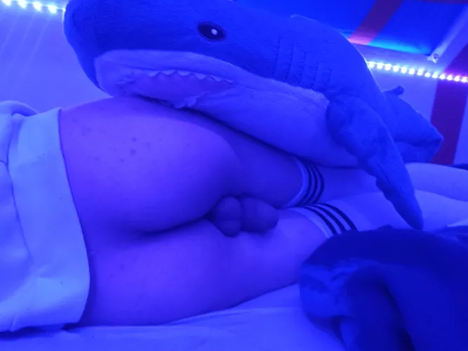 Haj enjoying the cake :3