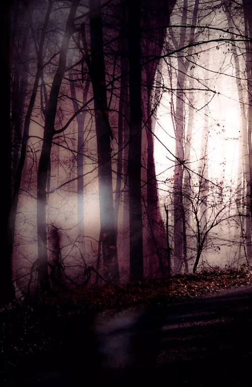 Halloween is approaching 