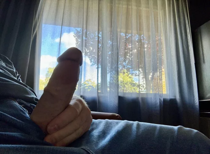 Hanging by the window 