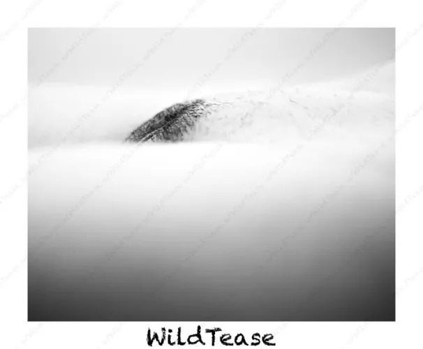 Happy Friday. (f) [OC]