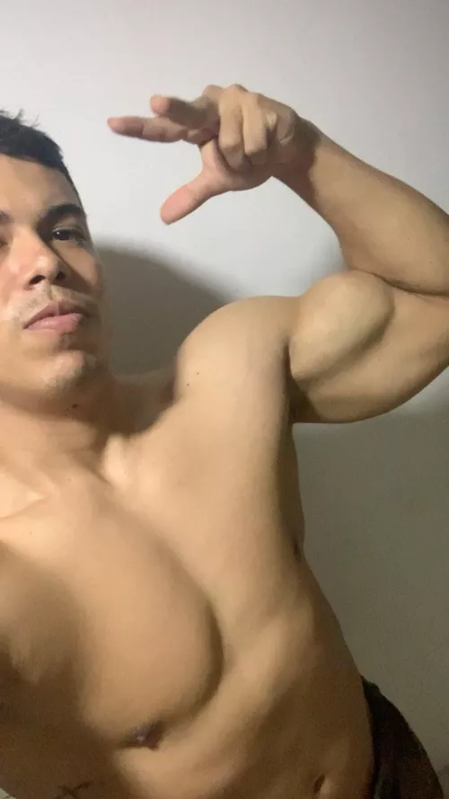 Happy with the peak, but my forearms appear small?