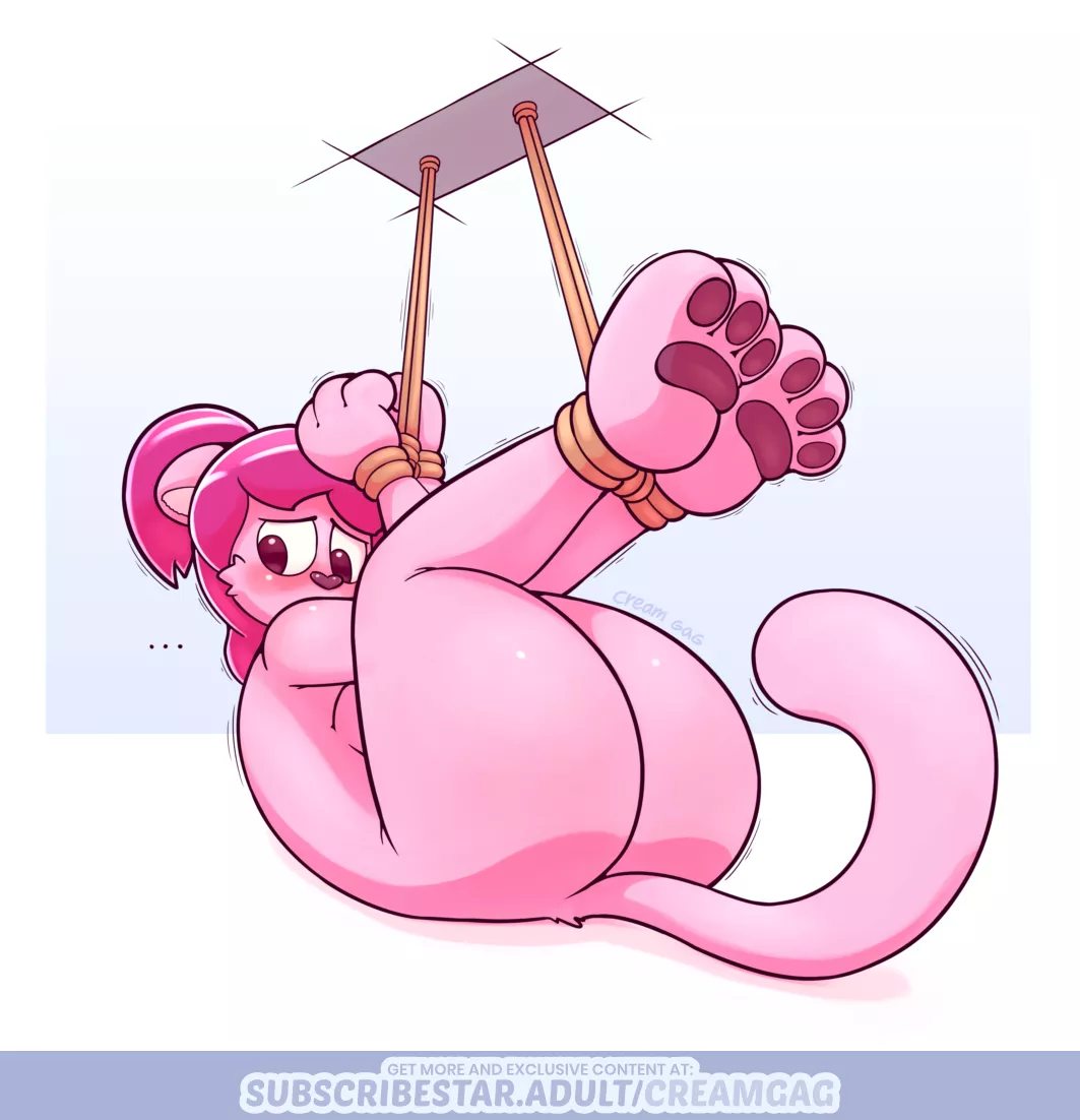 Hooked to the ceiling