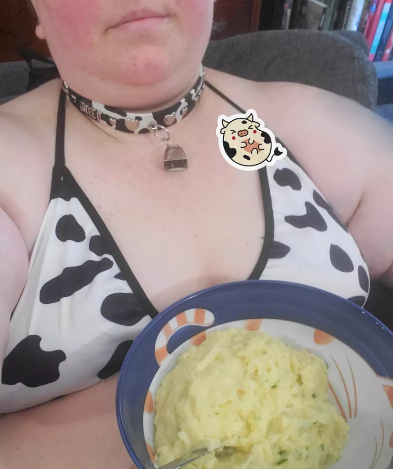 Huge bowl of mashed potatoes for this cow