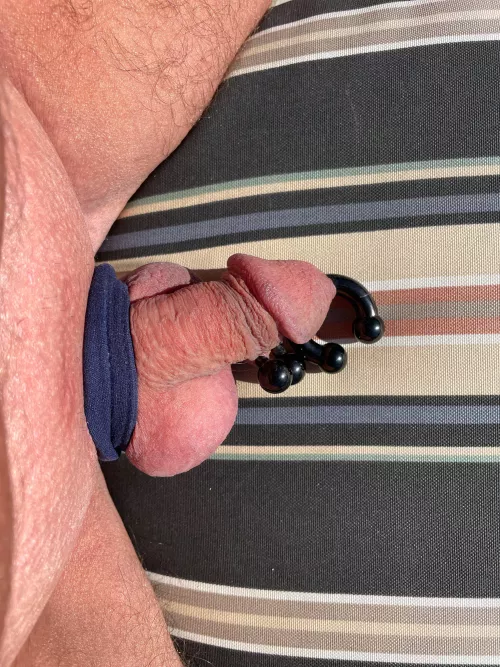 I am convinced. PA to APA is best