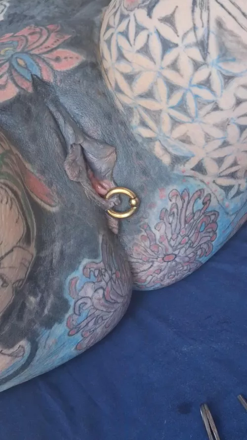 I did it , all pierced up at 4g(5mm). Head over to https://fansly.com/piercedntattooed for a video of the procedure type peircedntattooed in the promo code. Or https://onlyfans.com/piercedntattooed for tons of pics, videos and updates over the weekend.