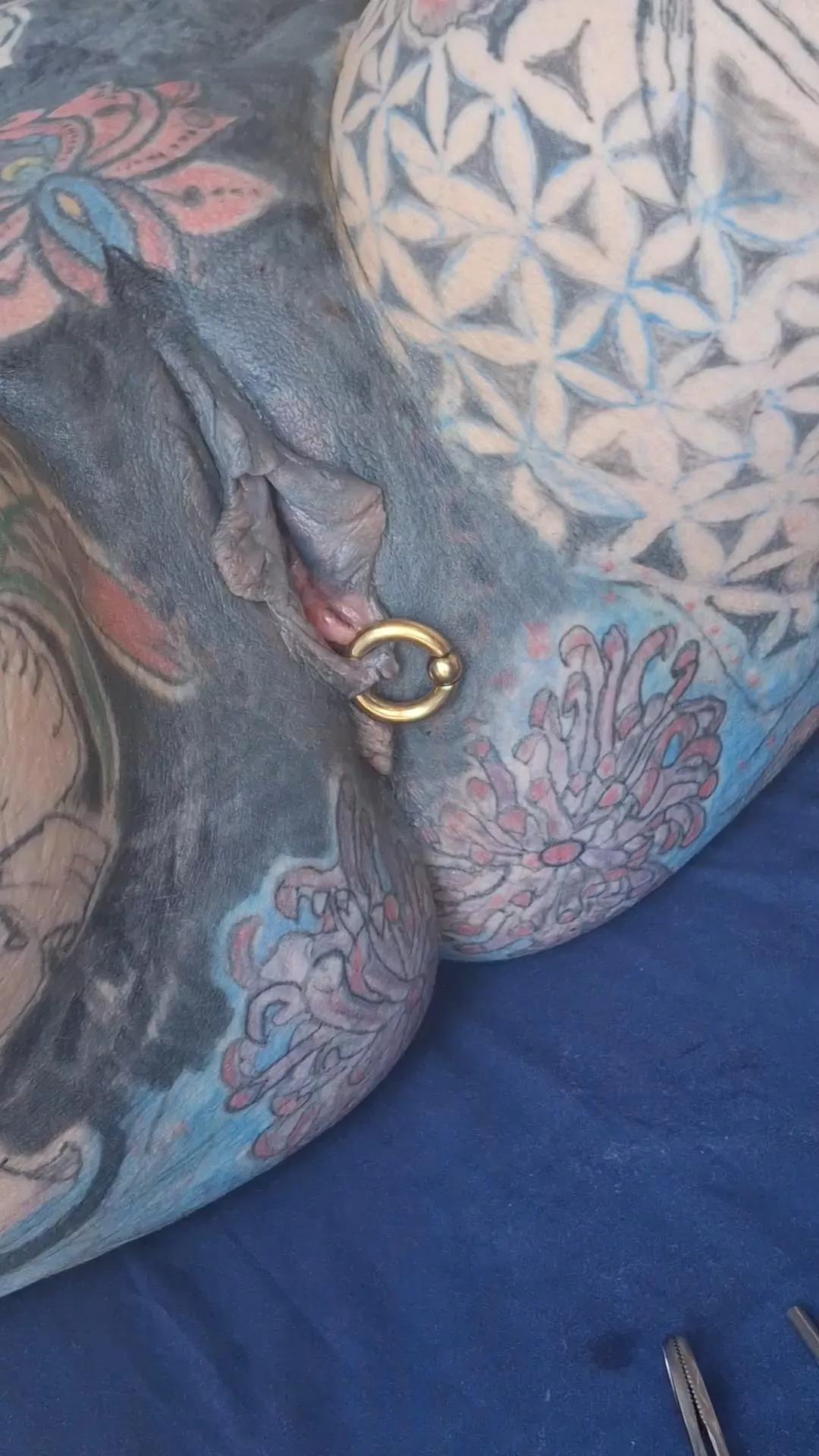 I did it , all pierced up at 4g(5mm). Head over to https://fansly.com/piercedntattooed for a video of the procedure type peircedntattooed in the promo code. Or https://onlyfans.com/piercedntattooed for tons of pics, videos and updates over the weekend.