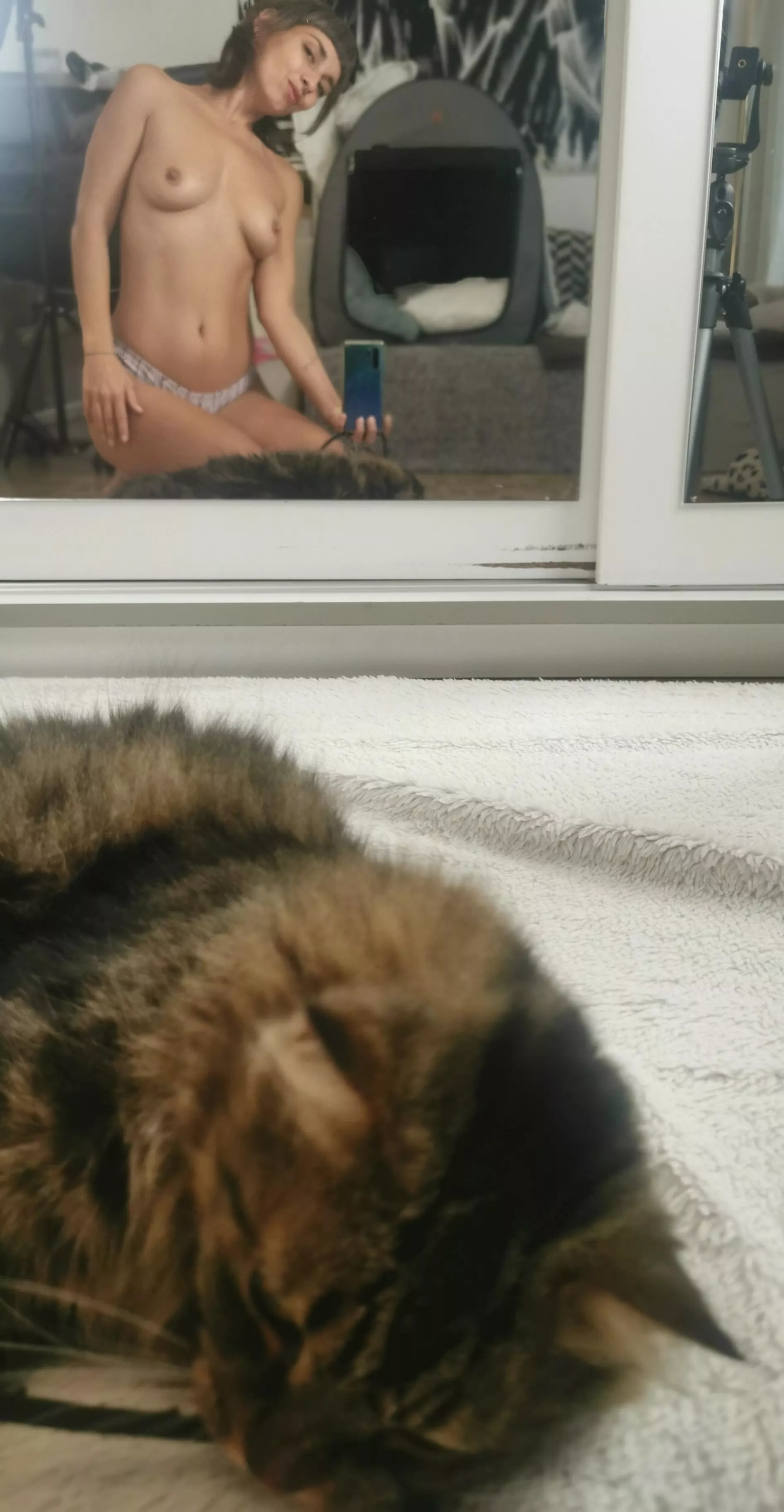 I guess I couldn't decide if I should take a pic of myself or of the cat sleeping :)