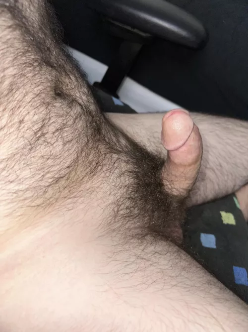 I usually trim myself but lately been letting it grow 