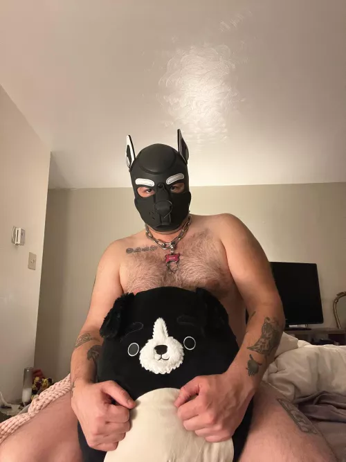 I wanna snuggle with a lanky little pupper 💗🐾