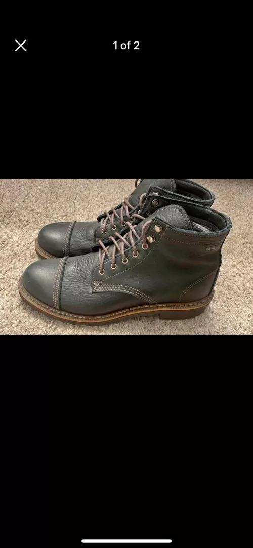 ID please (Wolverines)