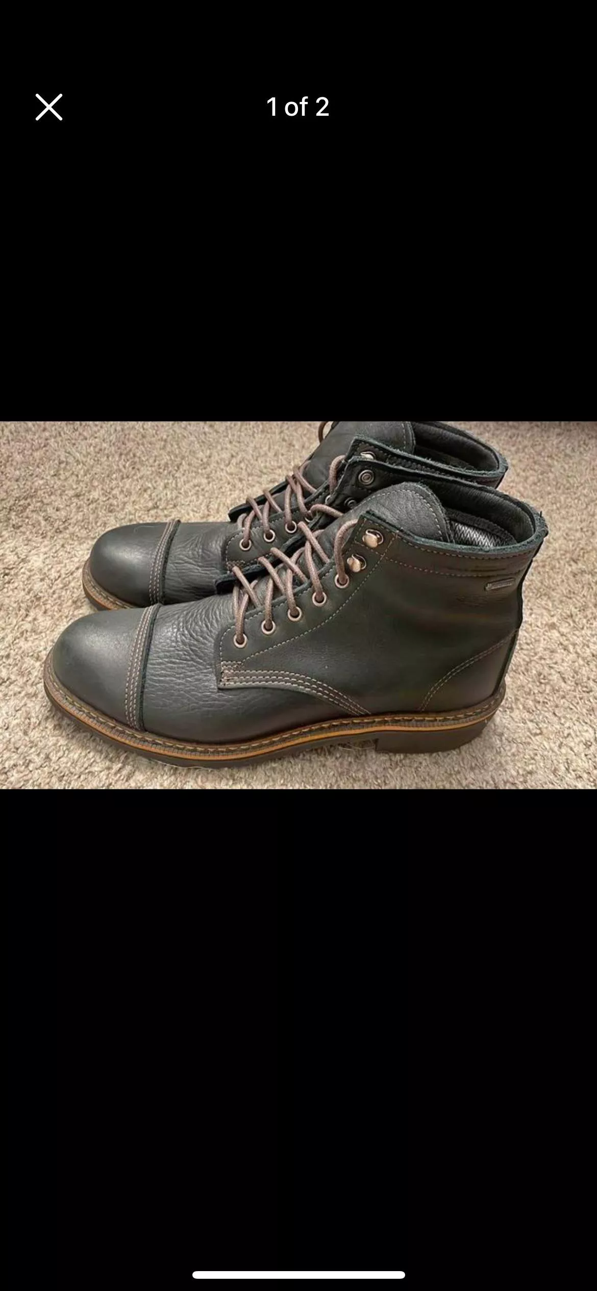 ID please (Wolverines)