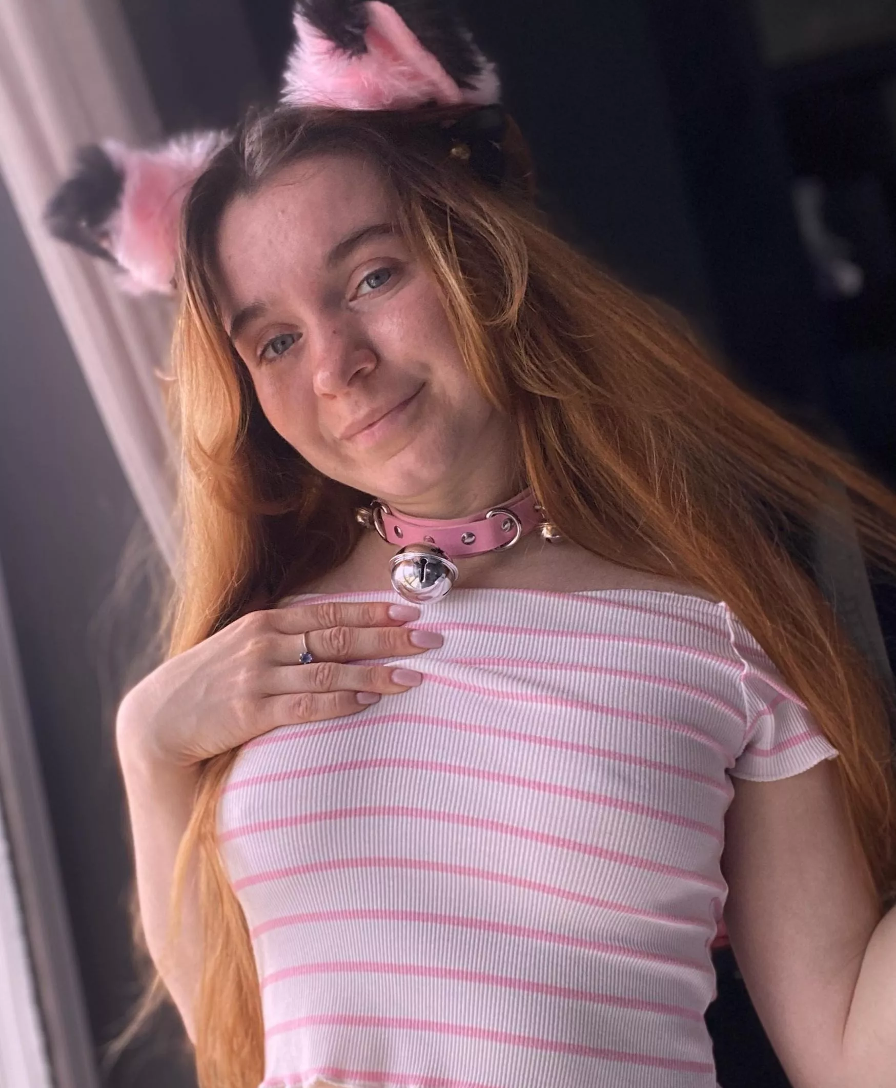 I'm trying to be a wild cat but I'm still a cute kitty at heart