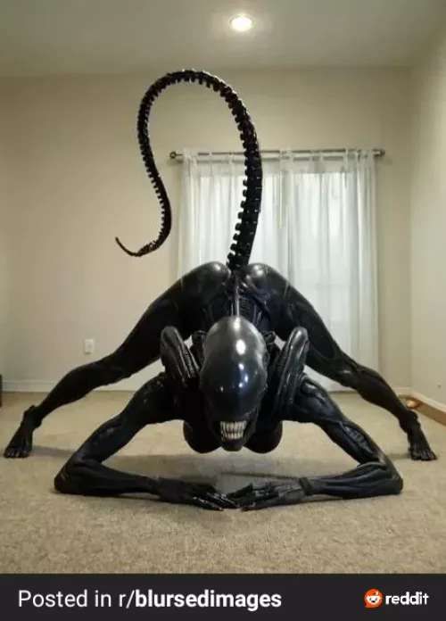 In space nothing can hear you cream