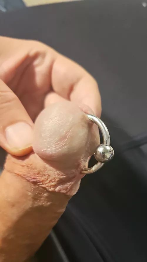 Is this to small. Pierced 10 days ago but when fully erect it fells like it pinching. Current diameter is 1inch anyone know where the best place is to get a 1 1/4(31mm) cbr is. I live in a very small town in ut and actually got this on a trip to sanfranc