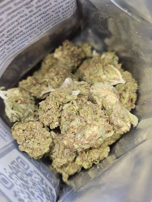 Khan kush - Jealousy(?)