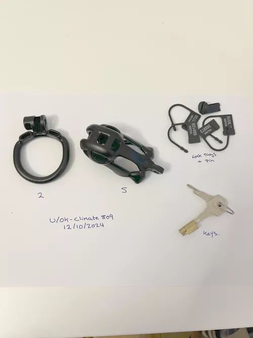 Kink3d size S chastity, size 2 ring, keys and lock and tags and pin. 