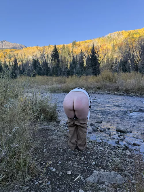 Lmk if you’d fuck a curvy girl in the wild :) [F]