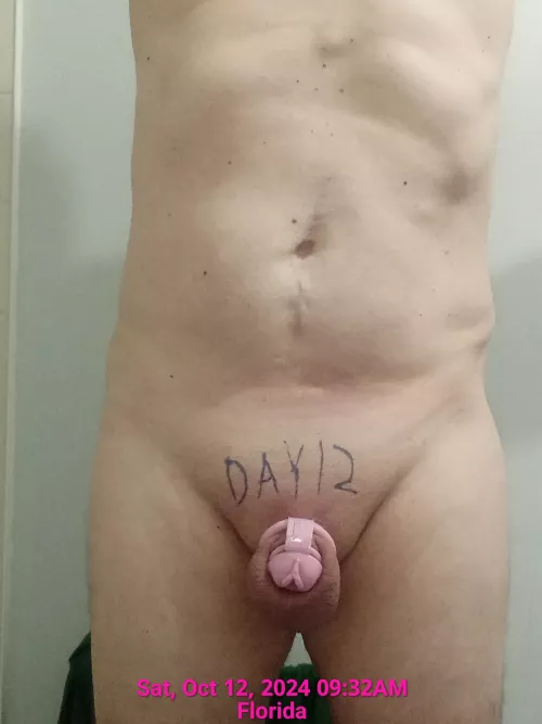 Locktober day 12 Interested in sharing my Locktober experience