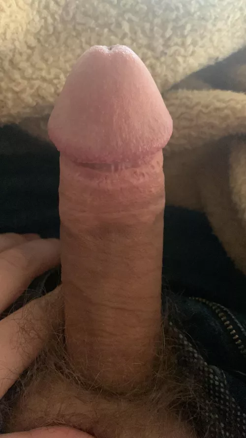 Looking for a nice tight ass to ride this in Charlotte,NC and a good BJ too. I’m always horny